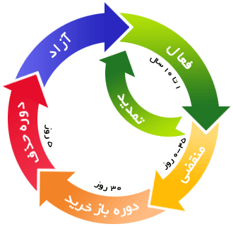 چرخه زندگی دامنه های بین المللی